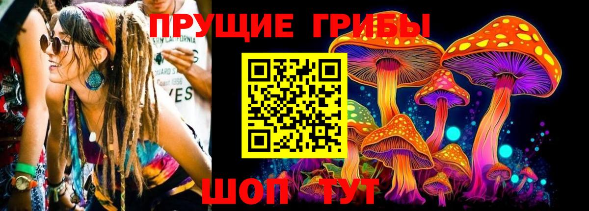 Новошахтинск  Псилоцибиновые грибы MAGIC MUSHROOMS  Вход с VPN 