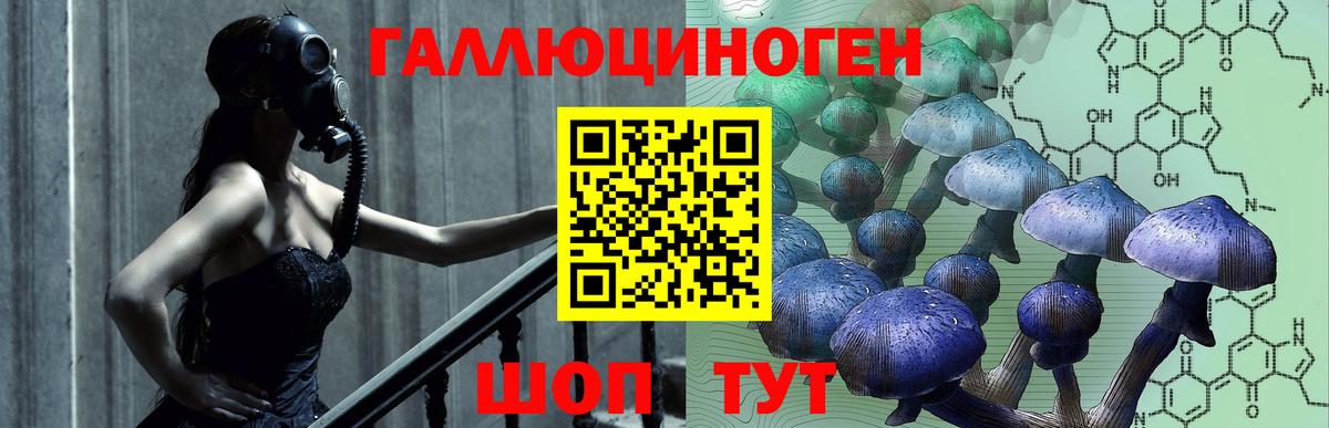 Галлюциногенные грибы Cubensis Новошахтинск